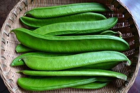 常见的蔬菜种类100种(我们常见的蔬菜有什么请你写出)