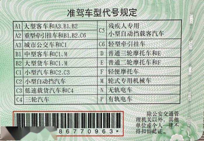 机动车驾驶证电子版(驾驶证电子版怎么出示？)