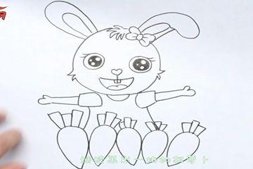 小兔子吃萝卜简笔画(抱着胡萝卜的兔子怎么画)