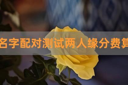 情侣姓名测试缘分配对(名字缘分配对测试爱情，两人姓名缘分测试)